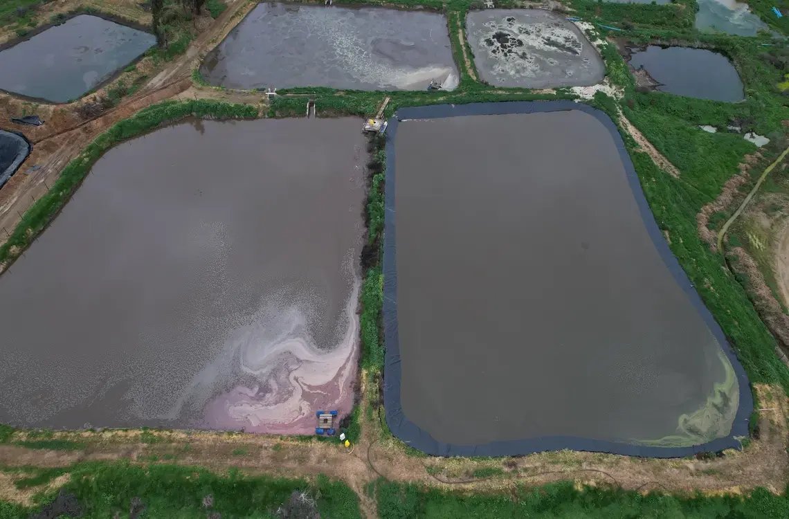Instalación profesional de geomembranas